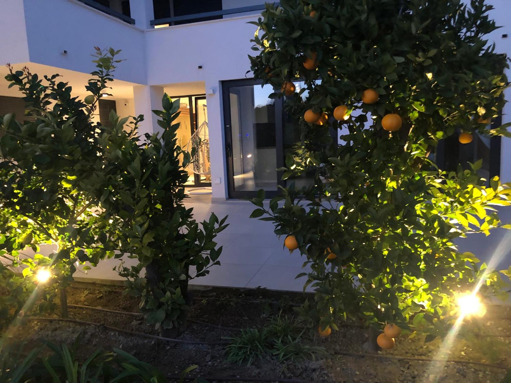 ספליט Apartments Villa Ladini מראה חיצוני תמונה
